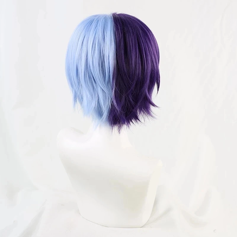 Anime Aoyagi Toya Cosplay Wig Project SEKAI COLORFUL STAGE! Heat Resistant Hair Synthetic Wigs