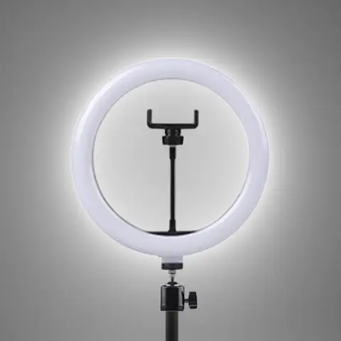 10 Inch LED Ring Light Photographic Selfie Ring Lighting with Phone Holder for Tiktok Youtube Makeup Video Live Studio Ring Lamp
