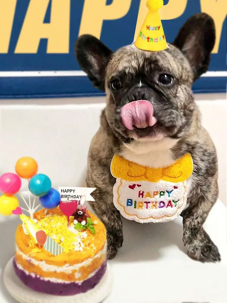1 Set Haustier-Geburtstagsschals als Dekoration für Hunde- und Katzenpartys, Requisiten für Fotoshootings, geeignet für den täglichen Gebrauch, mehrfach waschbar – Detail 5