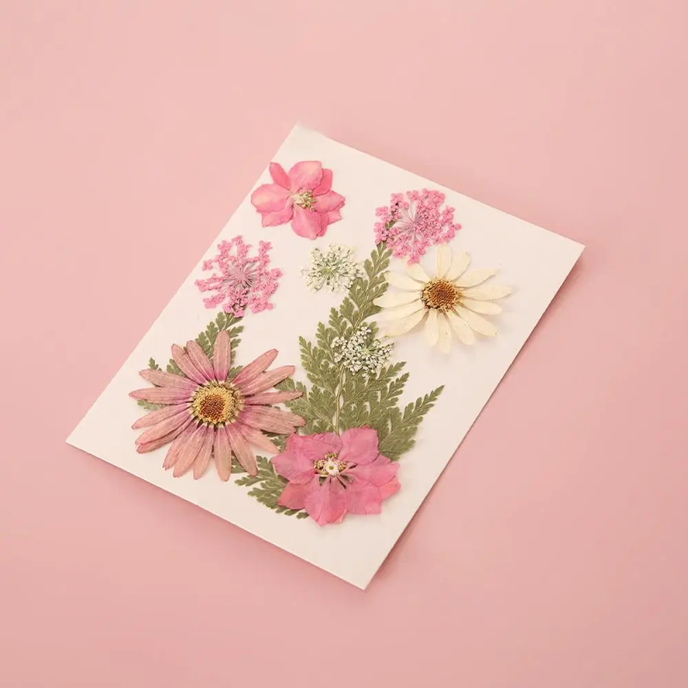 DIY Materials DIY Dried Flower Bookmarks Pressed Flower PET Dried Flower Stickers Handmade Transparent Flower Page Bookmark