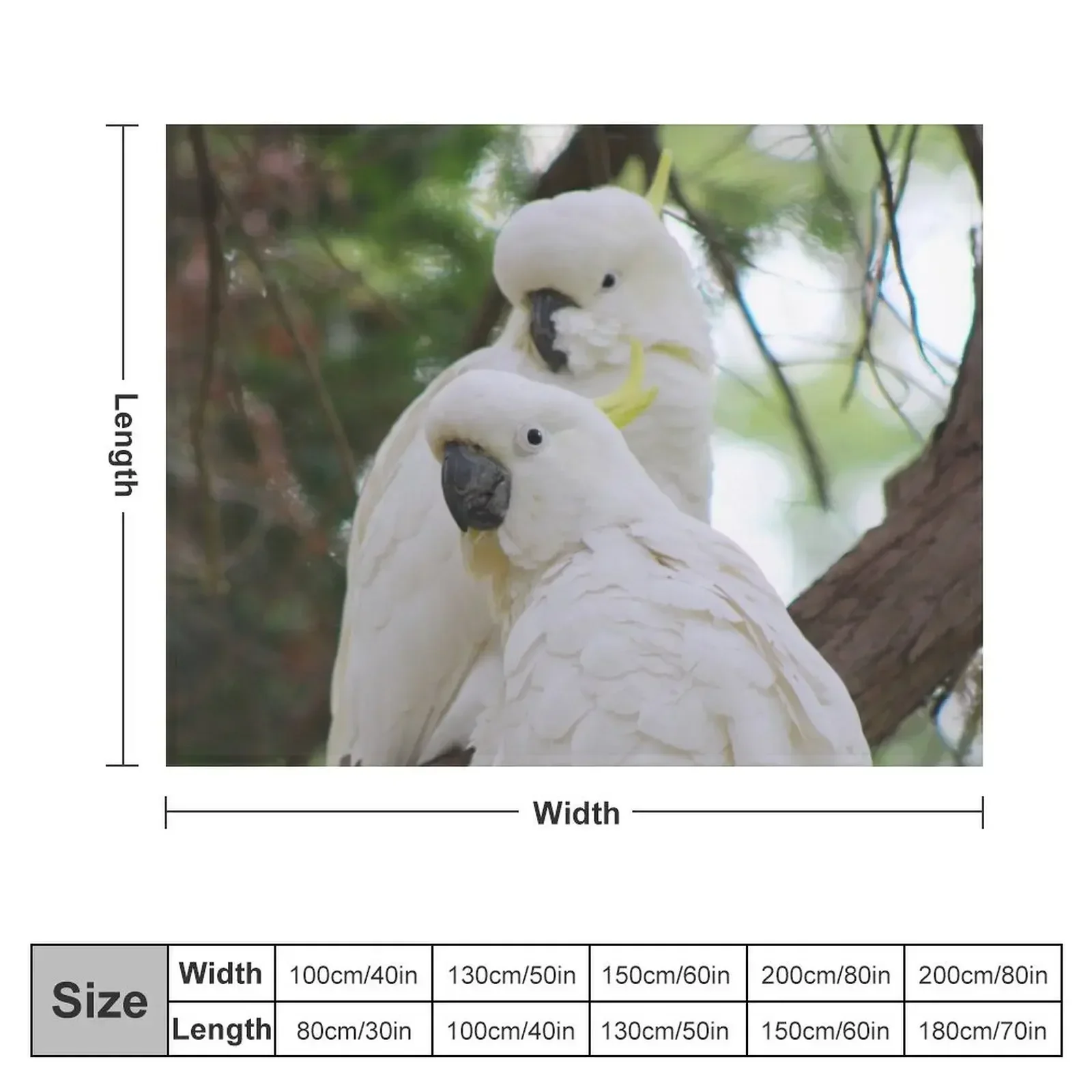 Sulphur Crested Cockatoos in Sydney Throw Blanket christmas decoration Furrys Blankets