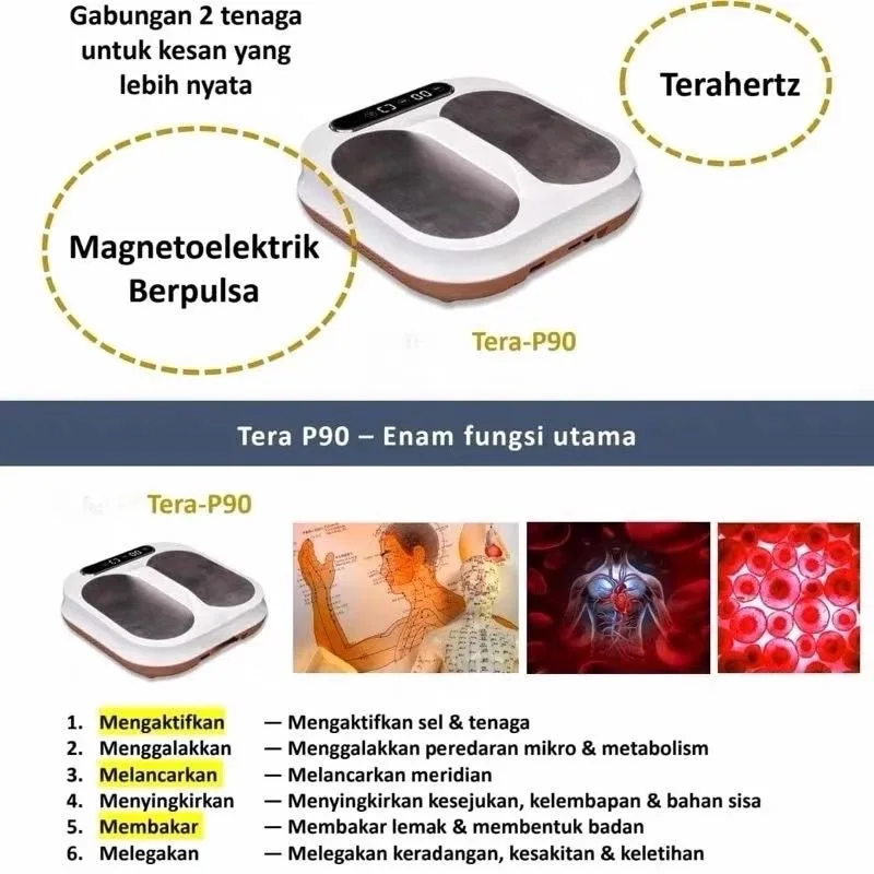 Tera P90 Terahertz Electro Magnetic Feet Health Device