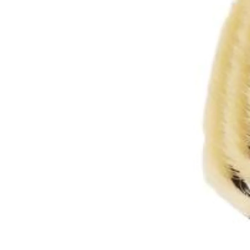 PP Long Handle Shower Body Brush Bathing Massage Back Body Exfoliating Brush Bathroom Wash Brush Bath Tools