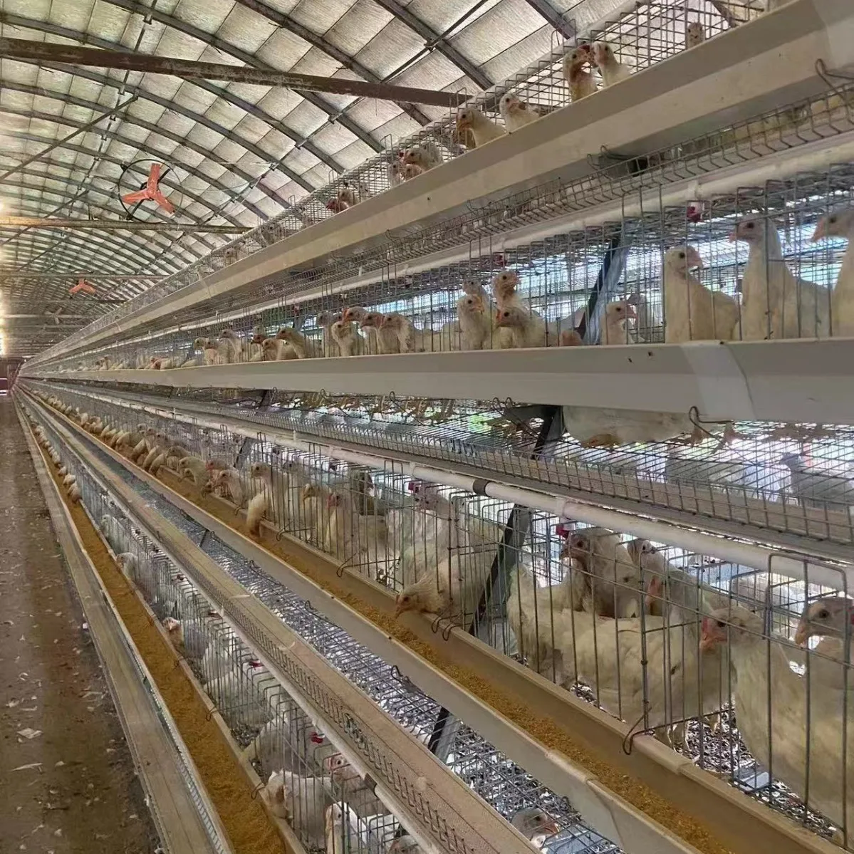 Automated Chicken Coop Equipment, Galvanized Poultry Cages, Layer Chicken Cages for Farm, Durable and Efficient Housing System