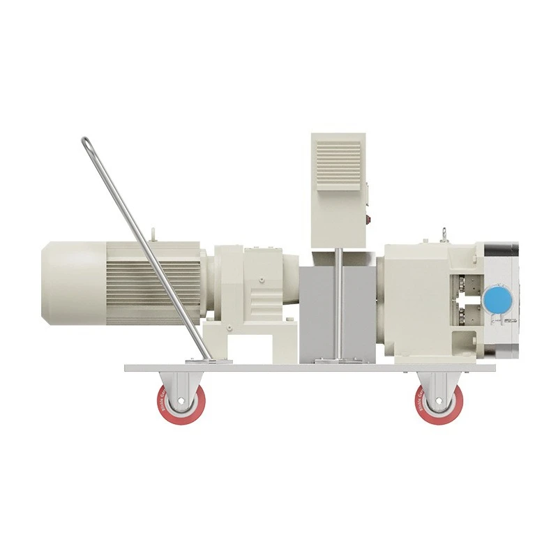 BONVE professional custom stainless steel horizontal large flow high lift high viscosity pump feeding pump rotor pump