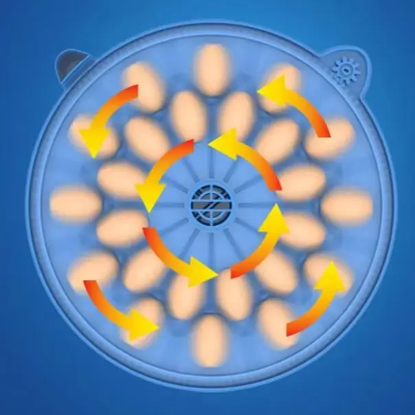 

12V/240V Incubator incubator Smart parrot bird egg incubator LCD display 9/12/16/24/36/48 cps