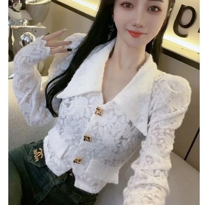 French Sexy Lace Cropped Shirt 2026 New Spring Autumn Women Elegant Shirt Blouse Tops Female Sexy Sweet Long Sleeve Lace T-shirt