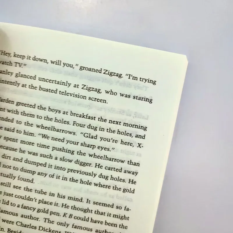 ثقوب النسخة الإنجليزية مكان من الجمال الفريد لويس ساشار بيري الروايات الأدبية