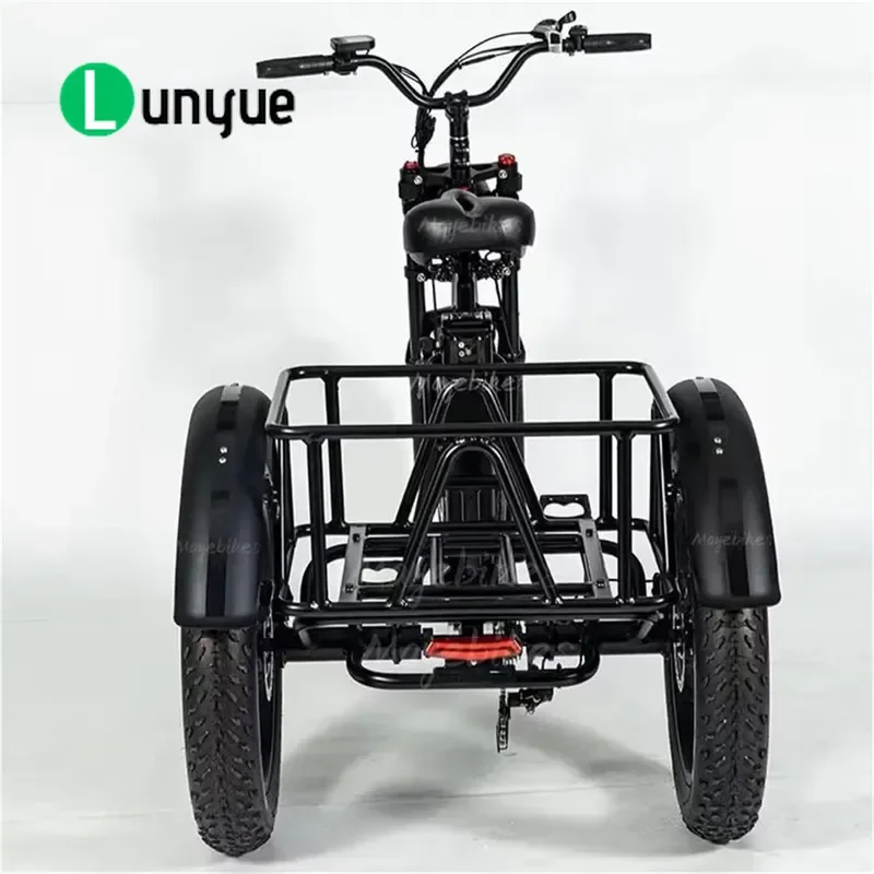 High Performance 3 Wheel Electric Tricycle for Adults 180x80x110cm Durable Outer Frame Body Cargo E Trike for Transport