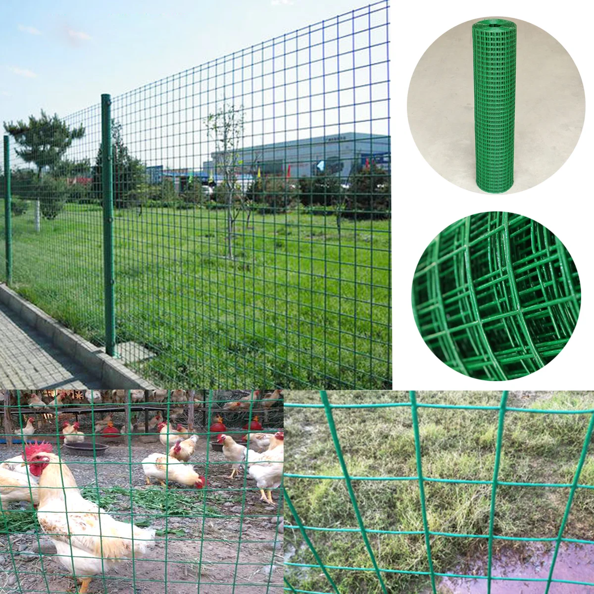 Welded Galvanized PVC Coated Fence Wire Mesh for Chicken Coop Screens