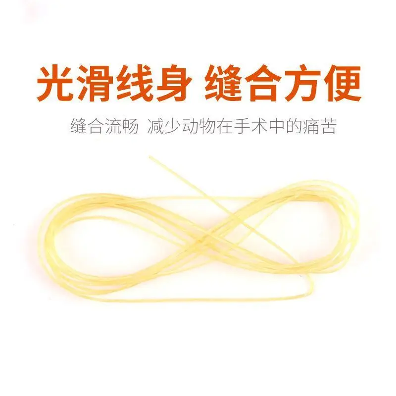 Veterinary Absorbable Sutures Imported PGA Surgical Pet Bovine Protein