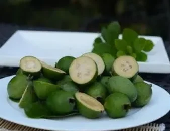 BAYCK 2.4GHz 5CH PWM ELRS レシーバー (2dBi アンテナ、PWM/CRSF プロトコル) - RC FPV クアッドコプター ドローン部品用