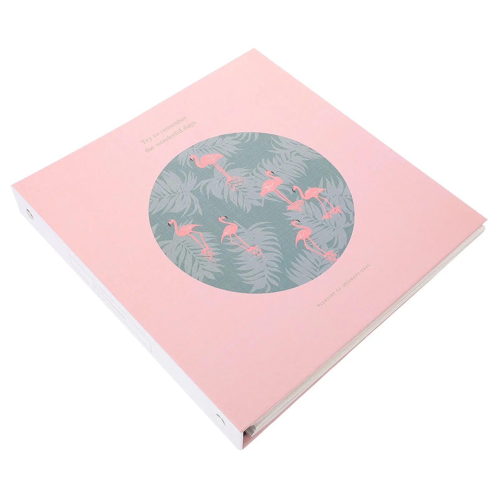 

Альбом для прессованных цветов, альбом для хранения сухоцветов, альбом для образцов с отрывными листами, альбом для сбора прессованных растений своими руками, папка для хранения