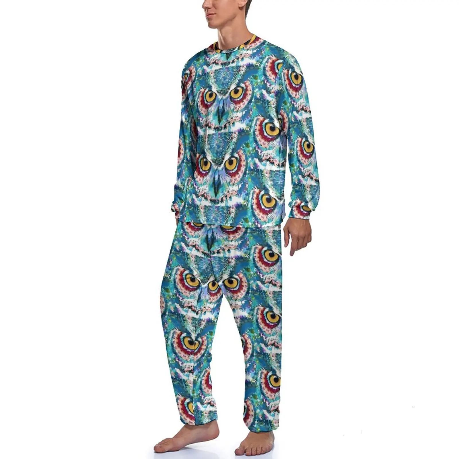 Colorful Bold Owl Art Pajamas Birds Print Mens Long-Sleeve Cool Pajamas Set 2 Piece Leisure Autumn Graphic Nightwear Gift Idea