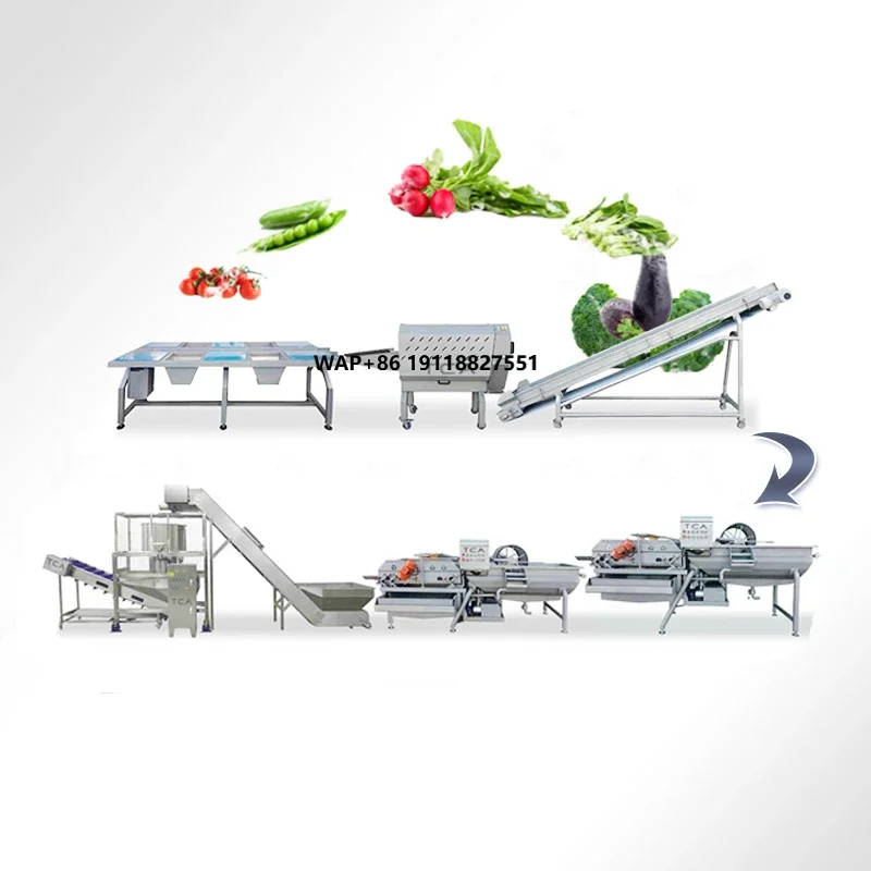 

Vegetable Bubble Cleaning Machine Line Processing Line for Fruits and Vegetables