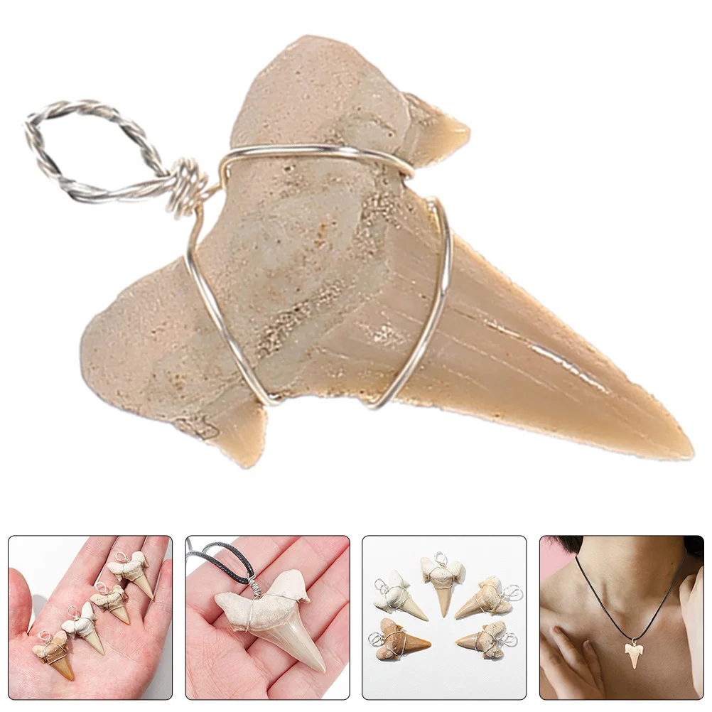 

2 Pcs Mens Necklace Shark Tooth Pendant Male Ocean for Boys Cool Chain Teeth Decor Man