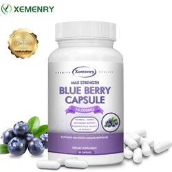 Blueberry Extract Supplement 16000mg, 120 Capsules - Non-GMO