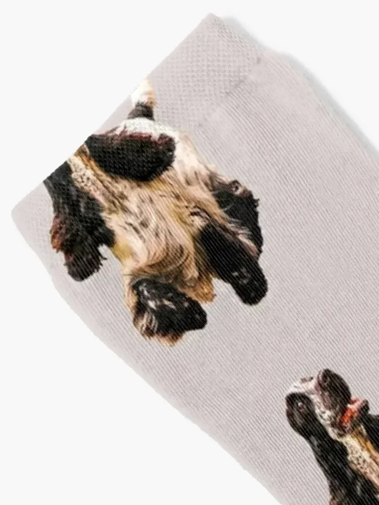 Cocker Spaniel on a merry dog walk Socks Stockings man retro designer brand Men Socks Luxury Brand Women's