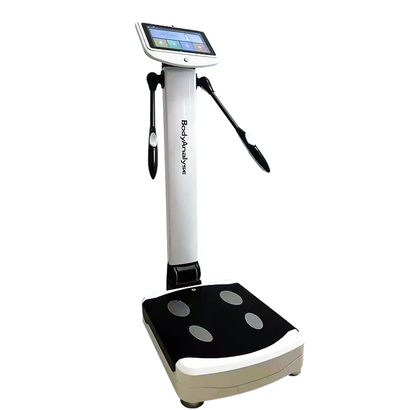 2024 body composition analyzer touch  diagnostic machine body  analyzer factory supply