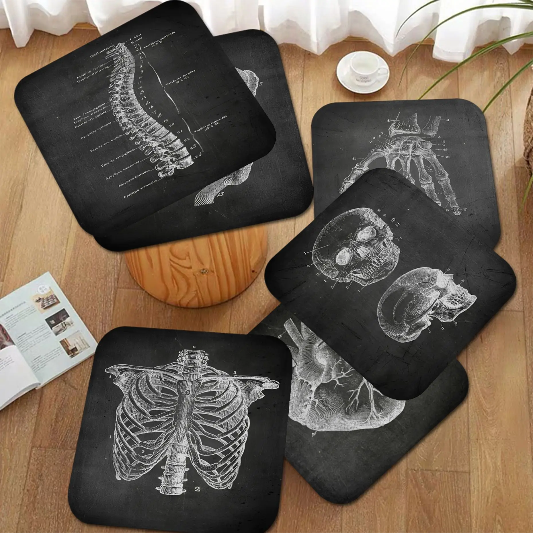 Anatomical Skeleton Chalkboard Simplicity Multi-Color Seat Cushion Office Dining Stool Pad Sponge Sofa Mat Non-Slip Sofa Tatami