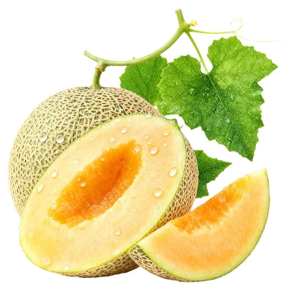 

Hami melon NIC Free Shortfill 100mL Water Soluble Flavor Concentrate Food Grade Long Lasting Taste TPD compliant for DIY