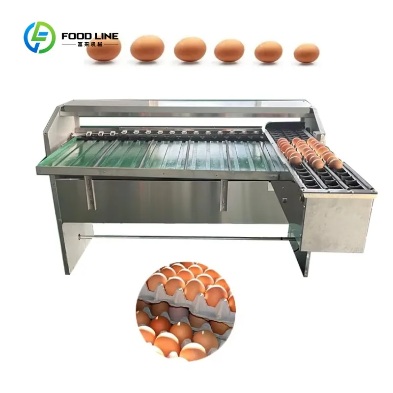 Customized 3000 4000 5000 Egg/hr Stainless Steel Small Automatic Egg Scale Grader Duck Chicken Sort Grade Egg Grading Machine