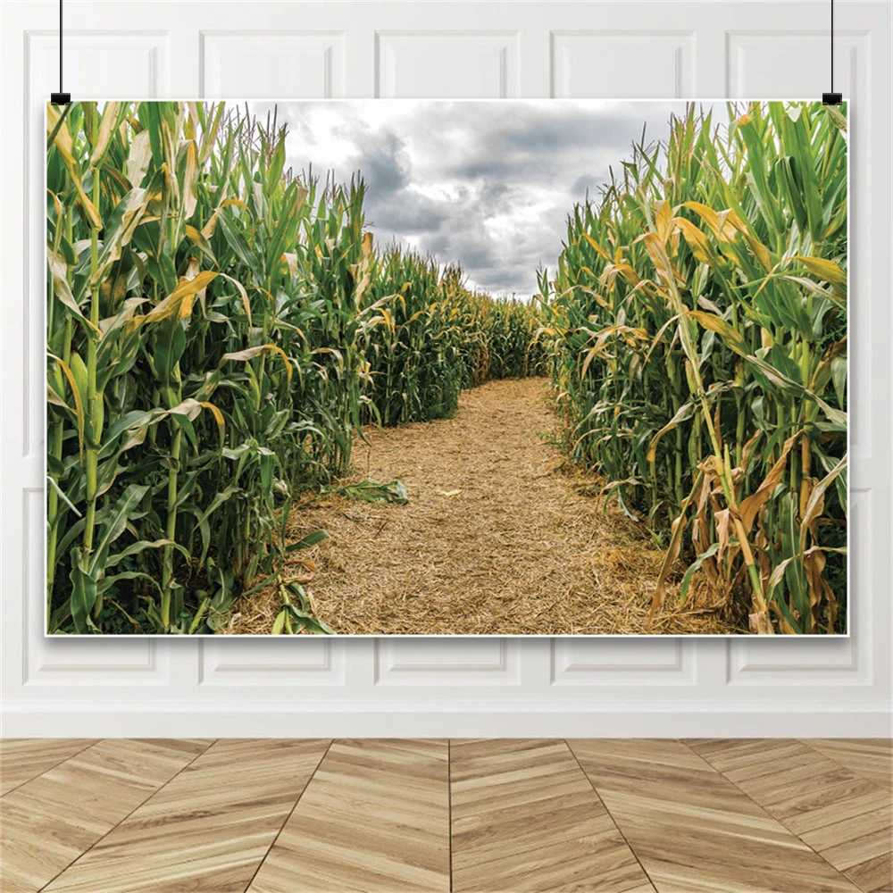 Autumn Harvest Background For Photography Rural Road Cornfield Wheat Field Backdrop Cloth Photography Accessories Home Photozone