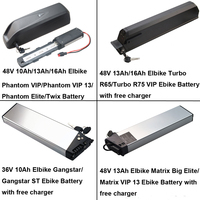 Elbike 36V 10Ah 48V 13Ah 16Ah Electric Bike Battery Gangstar ST Matrix Big Elite Phantom VIP 13 Twix Turbo R65 R75 Ebike Battery