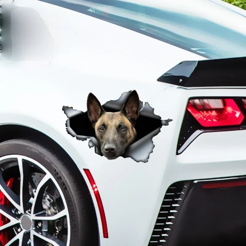 

13cm Creative Animal Belgian Malinois Car Sticker Torn Metal Reflective Shepherd Pet Dog 3D Waterproof and Sunscreen Decals