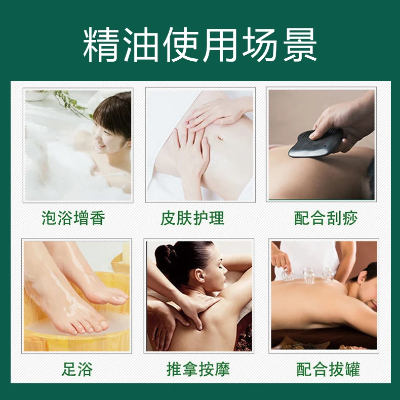 Minyak Esensial Mugwort, Untuk Pijat Gua Sha & Perawatan Kulit, Alami