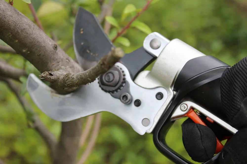 45mm Cutting Diameter Electric Pruning Shear with Powerful Lithium Battery Professional Pruner