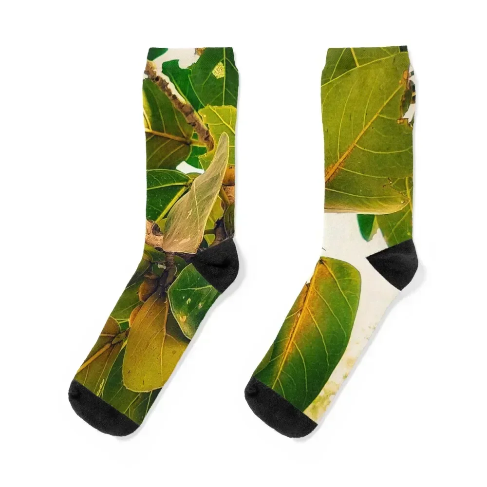 

Beautiful peepal tree leaves Socks golf christmass gift hockey kawaii Men's Socks Luxury Women's