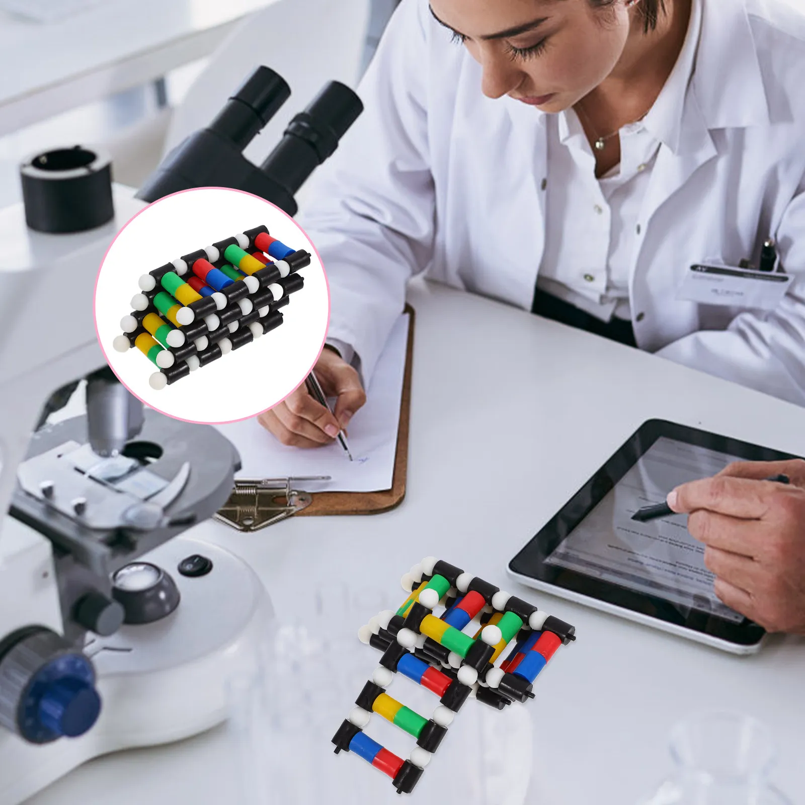 

Набор из 16 моделей структуры двойной спирали ДНК для обучения в классе и лаборатории, учебное пособие для студентов по естественным наукам