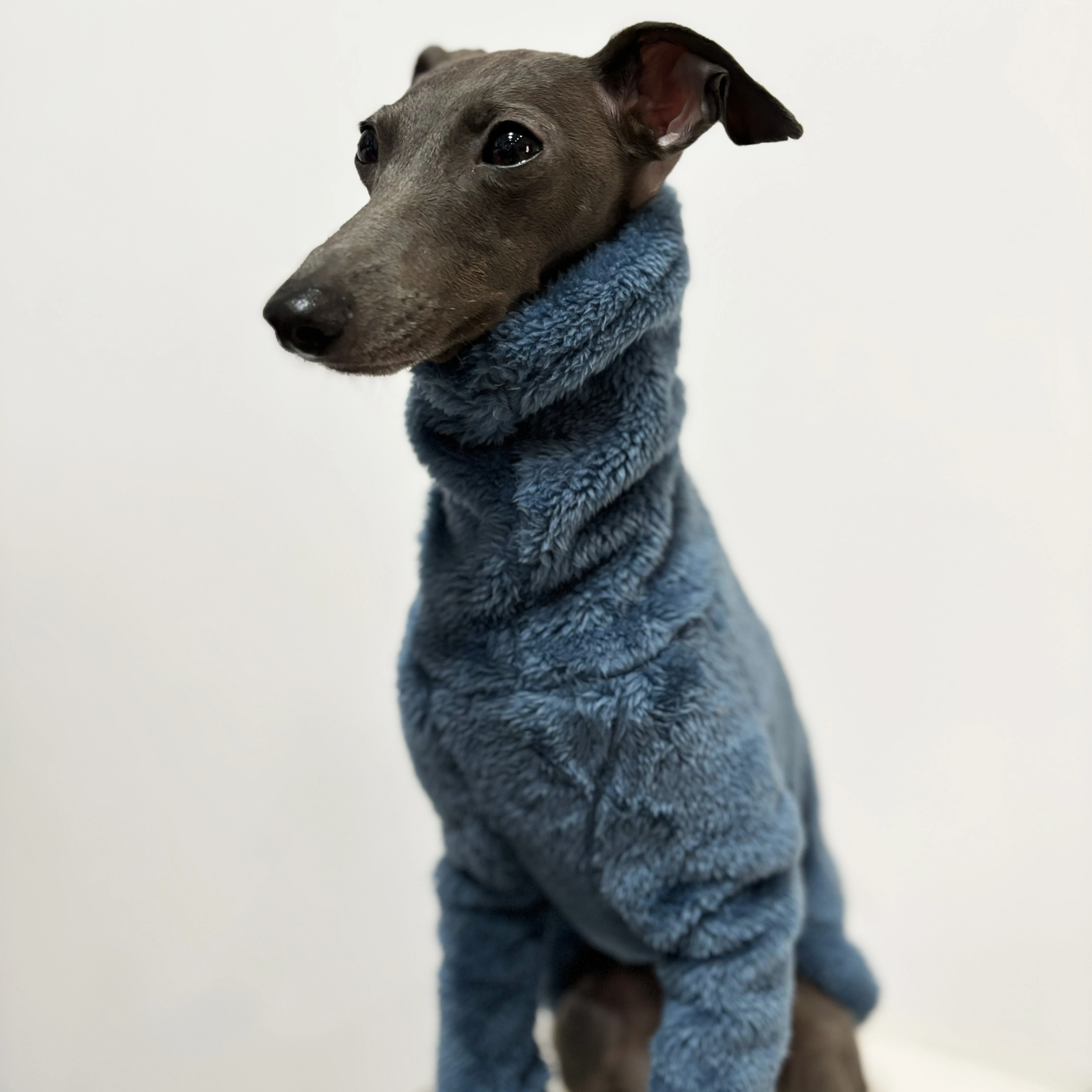 Winterwarmer, einfarbiger Hundepullover aus arktischem Fleece, weiche, hautfreundliche Haustierkleidung für Italienische Windhunde und Whippets. – Detail 4