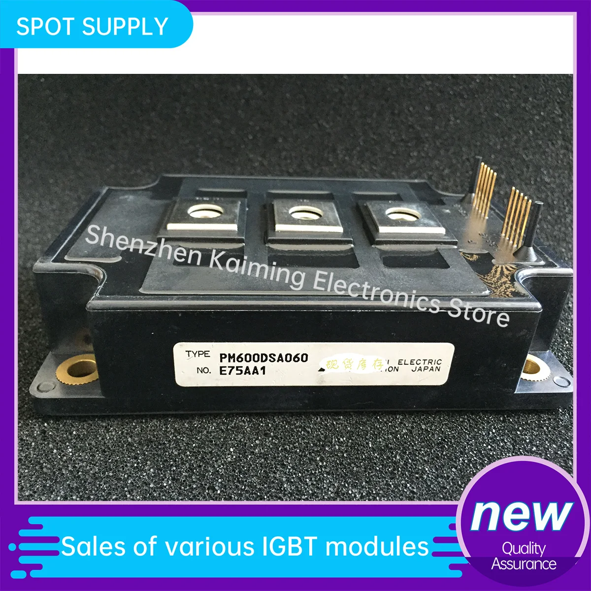 NEW AND ORIGINAL IGBT MODULE PM600DSA060 PM600DSA060-4 PM300DSA060 PM200DSA060 In Stock Quality Assurance