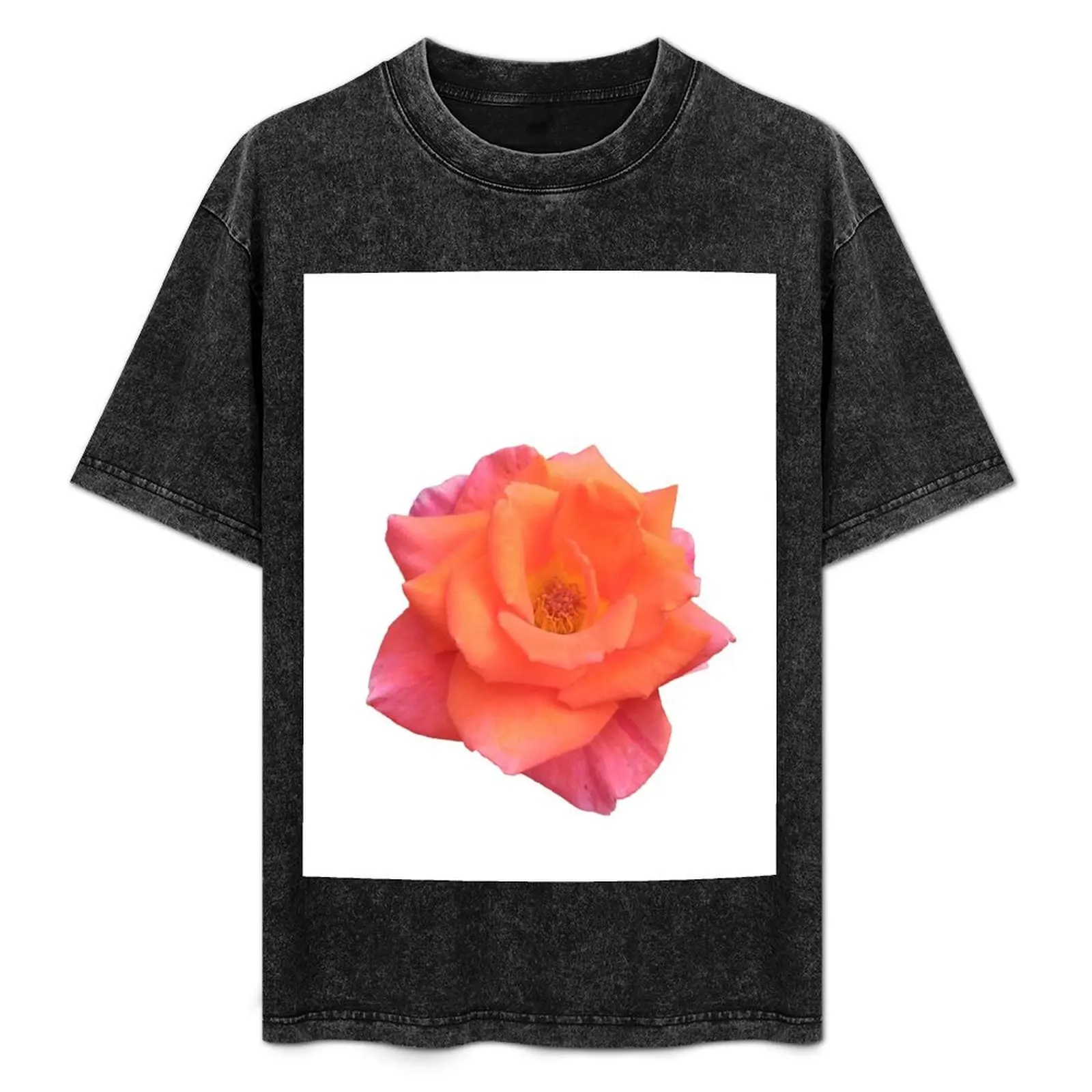 

Beautiful pink rose T-Shirt sports fans custom t-shirts luxury designer plain t shirts men