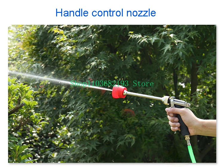 12V 220V High Pressure Electric Water Pump Sprayer Pumps Agricultural Rechargeable Spraying Pesticides Car Wash Pump