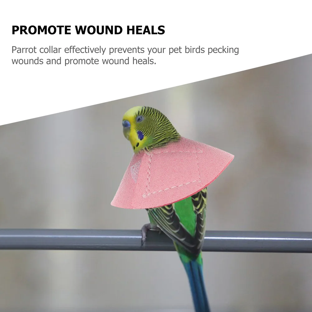 طوق مخروطي برقبة الطيور لدجاج الببغاء، حماية ضد التفتيت بعد الجراحة، شفاء مريح يسمح #6