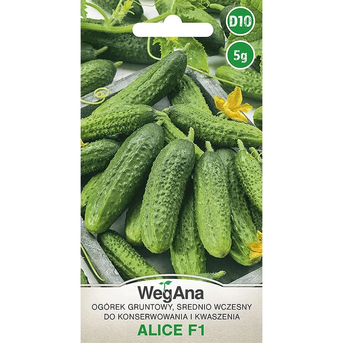 Canned ground cucumber Alice F1 5g vegetable cucumber seeds VegAna