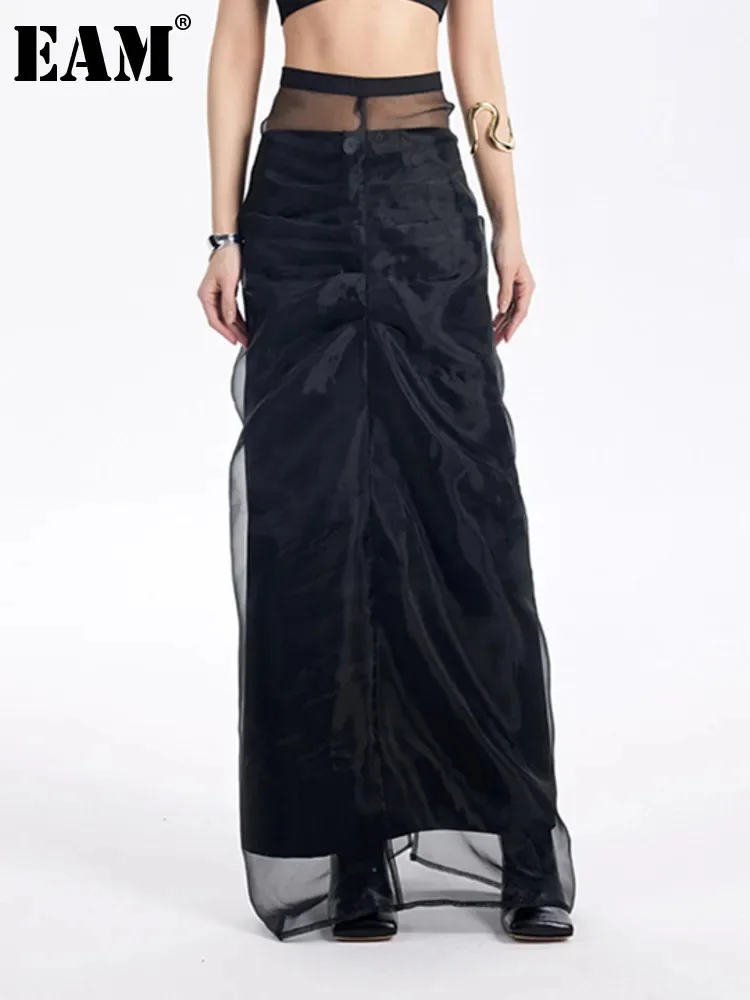 

[EAM] High Waist Black Mesh Pleated Double Layers Elegant Half-body Skirt Women Fashion Tide New Spring Autumn 2024 1DH5263