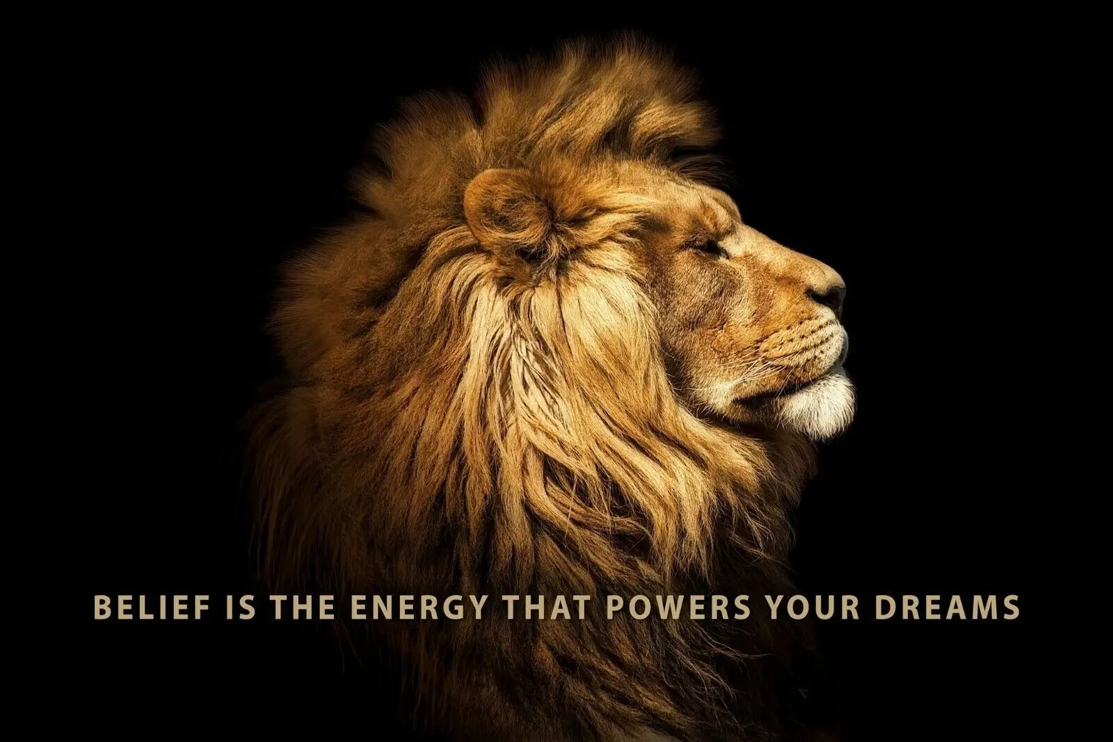 

Motivational Inspirational Lion Art Picture Print Silk Poster Home Wall Decor