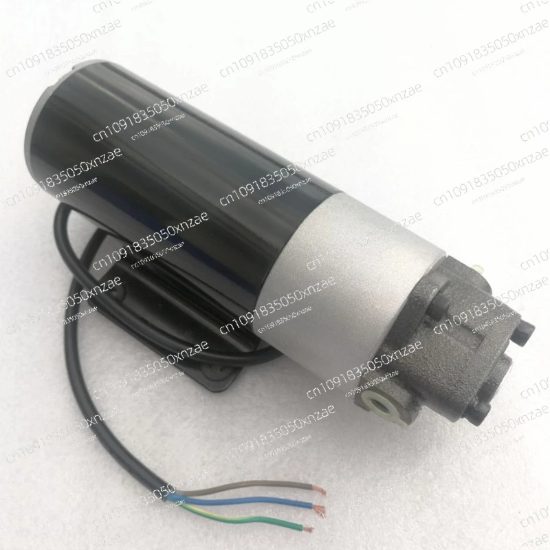 

DC12V-12A Motor Pump/DC 12 24V Small Set/Wypp730 Oil Pump