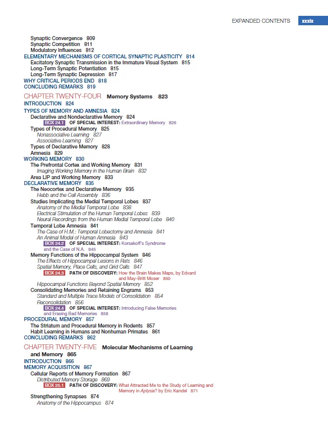 Neuronauka: badanie mózgu 4.