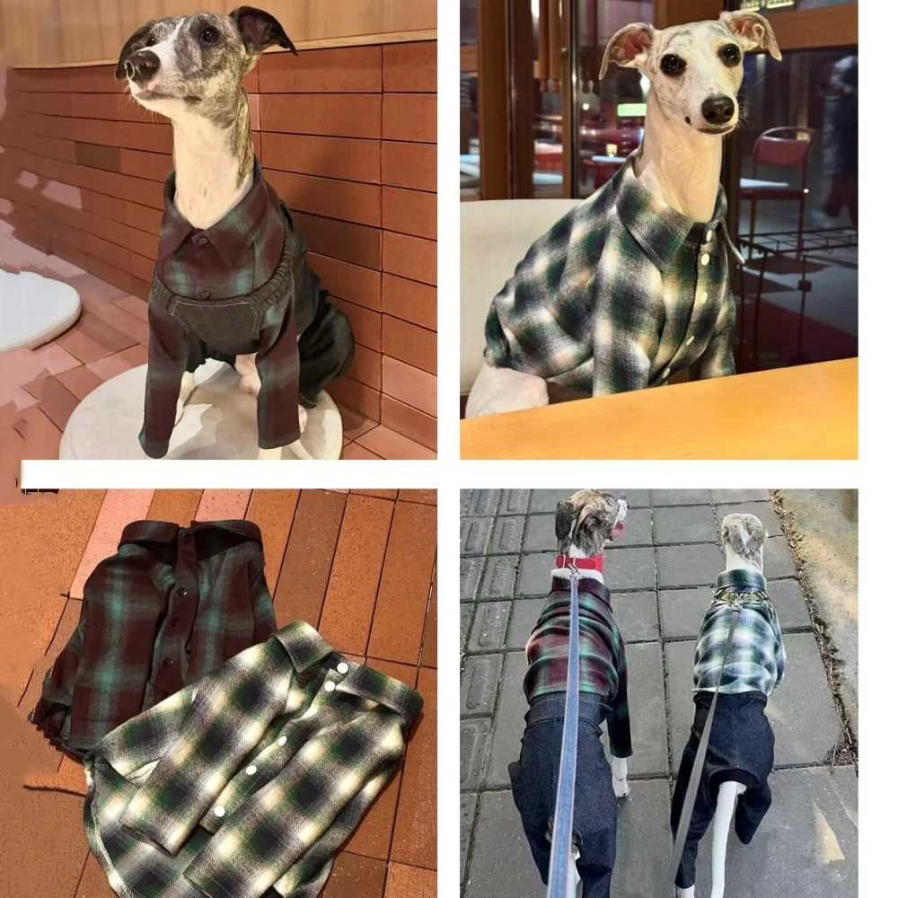 أنيقة طية صدر السترة الكلاسيكية منقوشة قميص ل WHIPPET في الربيع معطف القطن الناعم الكلية البريطانية على طراز GreyHound الإيطالي في الخريف