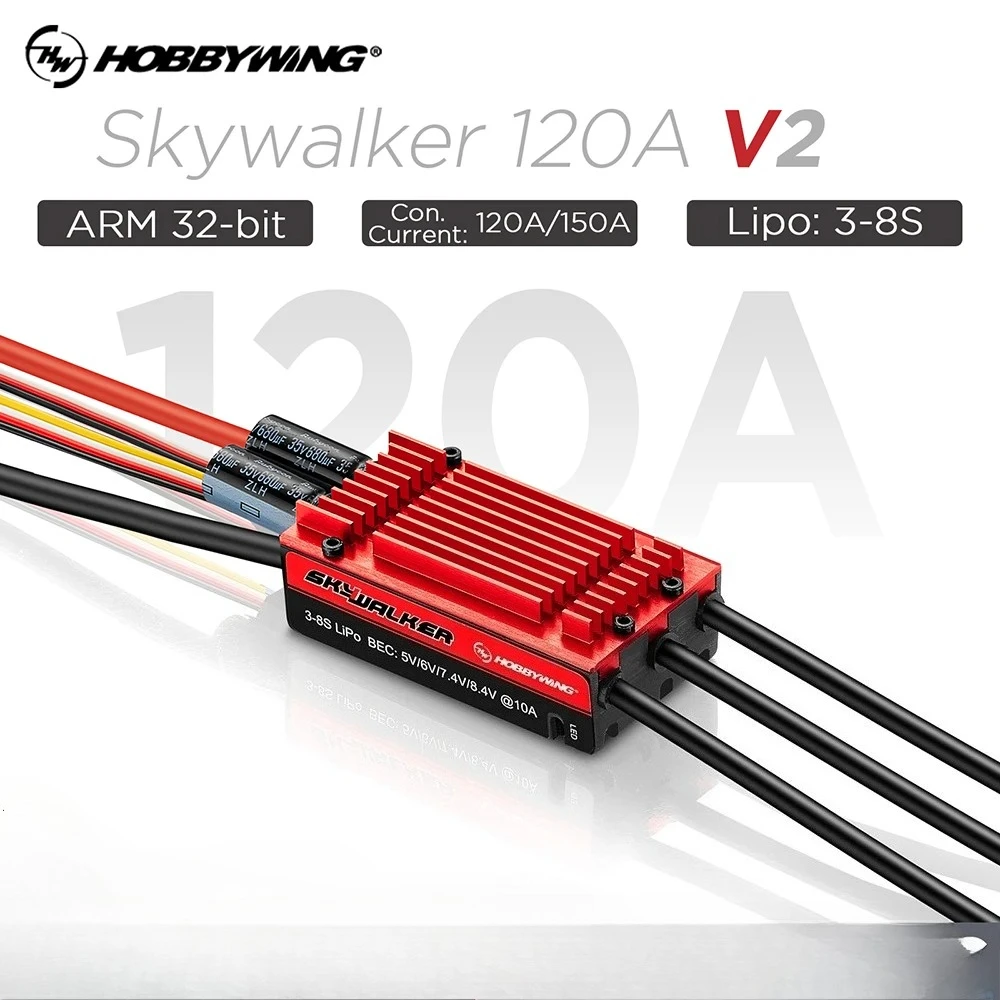 Hobbywing Skywalker…