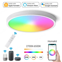 Homekit LED Ceiling Lamp WiFi Smart Ceiling Lights Dimmable RGB CW Bulb Cozylife APP Voice Control for Alexa Google Yandex