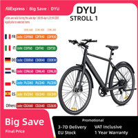 DYU Stroll 1 E-bike 250W Brushless Motor 36V9AH Lithium Battery Aluminum Alloy Electric Bicycle 16Inch Tire City Electric Bike