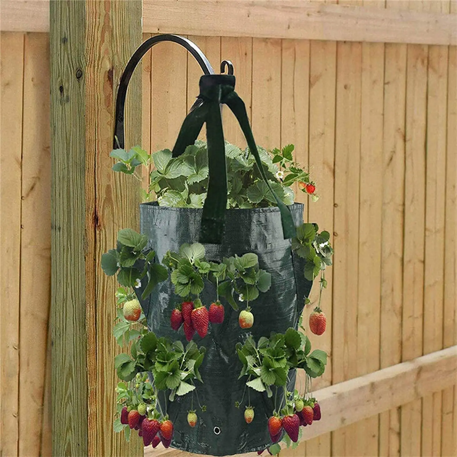 Strawberry Growing Containers 3 Pieces Vegetable Planting Bags 3 Gallon Patio Flowers Plants Growing Container for Home
