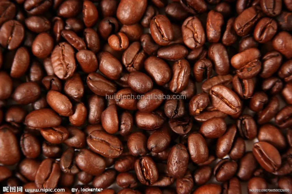 6KG 12KG 20KG Commercial Gas Coffee Roasting Equipment Small true cocoa bean roasting machine coffee roaster with cooling system