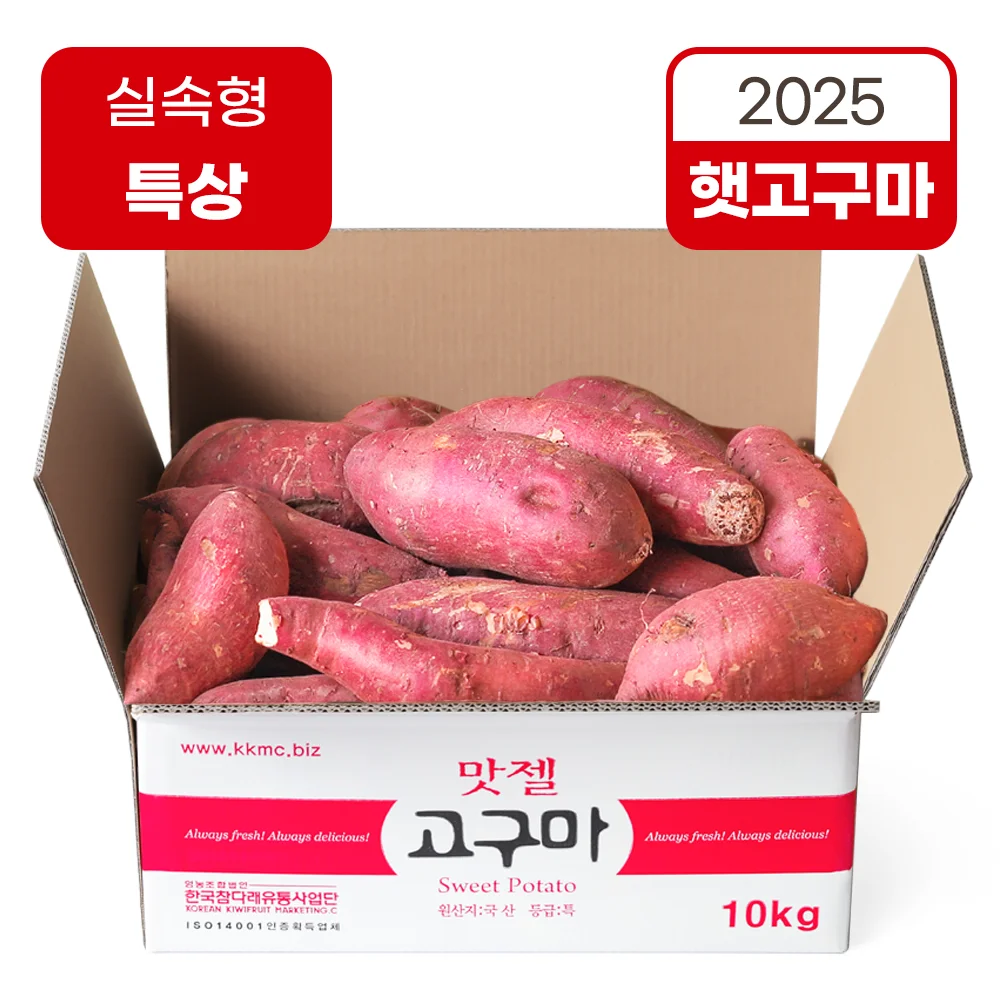 맛젤 여름고구마 햇고구마 특상사이즈 2025년산 3kg 5kg 10kg